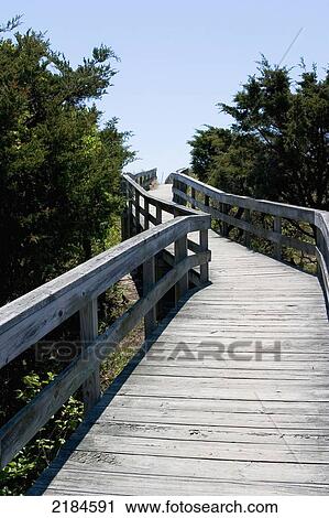 Stock Image - Usa, New York State, New York, Boardwalk At The Pines; Long Island. Fotosearch