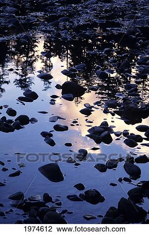 USA, Olympic National Park; Washington, Hoh River Bed With Reflections View Large Photo Image Stock Image - USA, Olympic National Park; Washington, Hoh River Bed With Reflections. Fotosearch