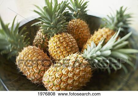 USA, Platter Of Large Ripe Pineapples; Hawaii View Large Photo Image Stock Photo - USA, Platter Of Large Ripe Pineapples; Hawaii. Fotosearch