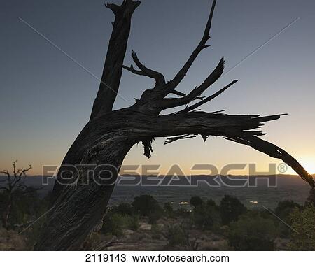 Stock Image - USA, Sunrise at Colorado National Monument; Colorado. Fotosearch