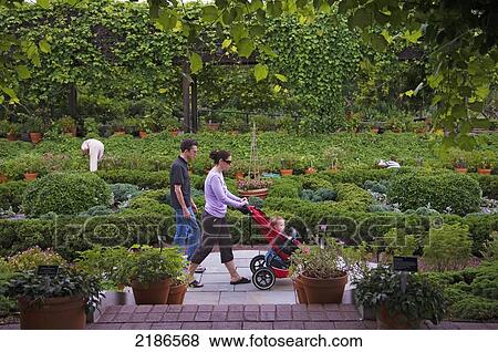 Stock Photo - USA, U. S. National Arboretum; Washington DC, Female gardener and visitors at National Herb Garden and cottage garden. Fotosearch