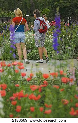 Stock Photo - USA, U. S. National Arboretum; Washington DC, Female visitors in the cottage-style garden in National Herb Garden and cottage garden. Fotosearch