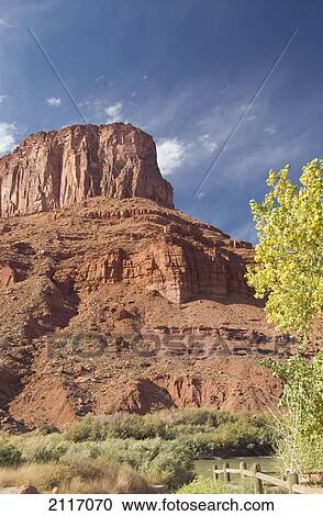 USA, Utah, Moab, huge butte with trees turning color in the Fall View Large Photo Image Stock Image - USA, Utah, Moab, huge butte with trees turning color in the Fall. Fotosearch