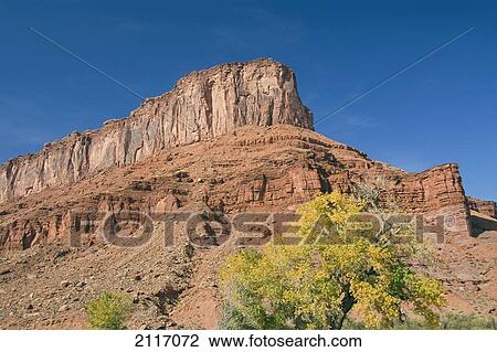 USA, Utah, Moab, huge butte with trees turning color in the Fall View Large Photo Image Stock Image - USA, Utah, Moab, huge butte with trees turning color in the Fall. Fotosearch
