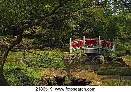 Stock Photo - USA, Virginia, Japanese Water Gardens at Museum of Shenandoah Valley; Winchester. Fotosearch