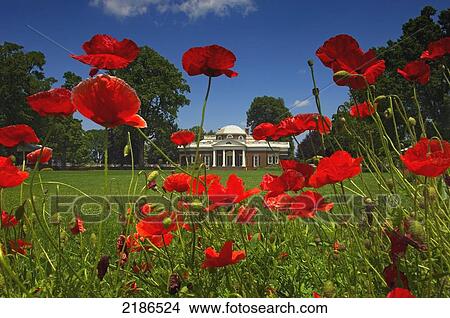 Picture - USA, Virginia, Monticello was the estate of Thomas Jefferson third President of the United States and founder of the University of Virginia. House which Jefferson himself designed was based on neoclassical principles; Charlottesville. Fotosearch