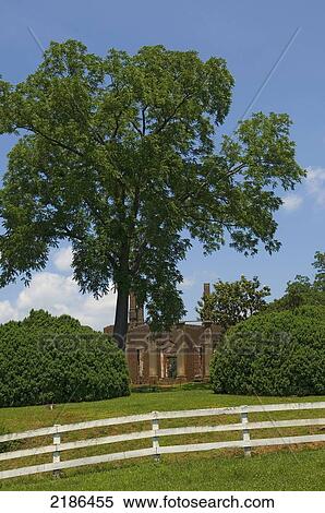 Stock Photography - USA, Virginia, Old Estate House at Barboursville Vineyard. Designed by Thomas Jefferson. Piedmont region of the Commonwealth of Virginia; Barboursville. Fotosearch