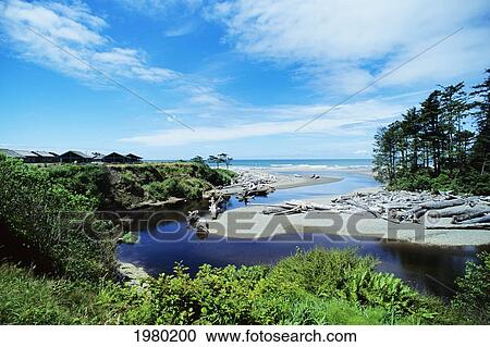 USA, Washington, Coastal feature and river inlet at Olympic National Park; Kalaloch Lodge View Large Photo Image Stock Image - USA, Washington, Coastal feature and river inlet at Olympic National Park; Kalaloch Lodge. Fotosearch