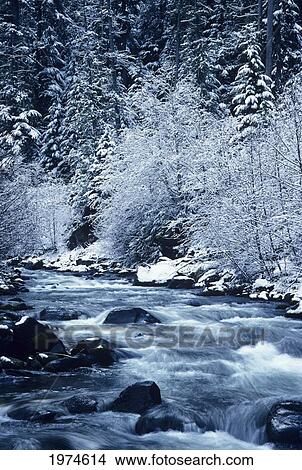 USA, Willamette National Forest; Oregon, Salt Creek with Snowy Trees View Large Photo Image Picture - USA, Willamette National Forest; Oregon, Salt Creek with Snowy Trees. Fotosearch