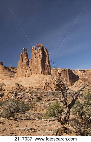 Stock Photo - Utah, Arches National Park, Courthouse Towers, The Three Gossips landmark, foliage in foreground.. Fotosearch