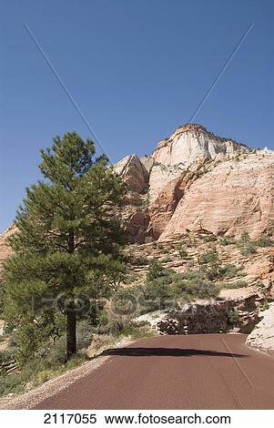 Utah, Zion National Park, Roadway along the Zion Mount Camel Highway. View Large Photo Image Stock Photography - Utah, Zion National Park, Roadway along the Zion Mount Camel Highway.. Fotosearch