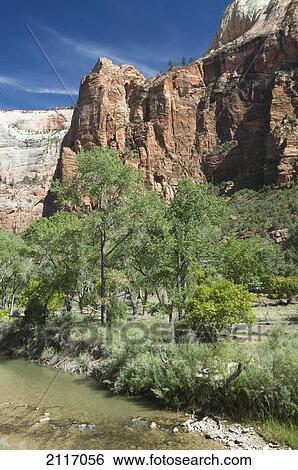 Stock Photograph - Utah, Zion National Park, Virgin River and lush foliage near Zion Lodge.. Fotosearch
