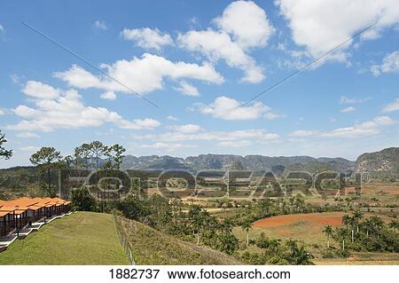 Valley Of Viñales, Sierra De Los Organos; Viñales, Cuba View Large Photo Image Stock Photo - Valley Of Viñales, Sierra De Los Organos; Viñales, Cuba. Fotosearch