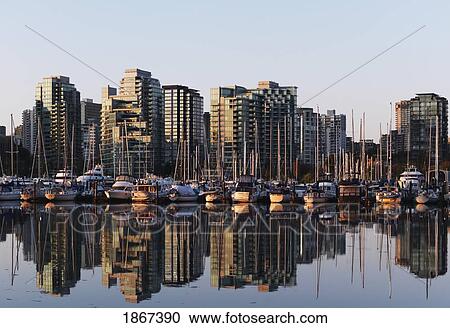 Vancouver City Skyline With Marina In Foreground; Vancouver, British Columbia, Canada View Large Photo Image Stock Image - Vancouver City Skyline With Marina In Foreground; Vancouver, British Columbia, Canada. Fotosearch