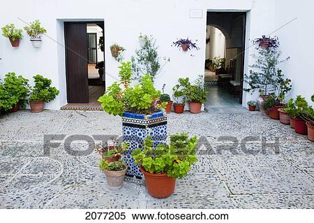 Stock Photography - Variety Of Plants In Containers In A Courtyard; Vejer De La Frontera Andalusia Spain. Fotosearch