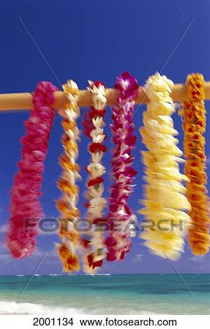 Picture - Variety Of Tropical Leis Hang From Stick, Turquoise Ocean And Blue Sky Selective Focus Clear. Fotosearch