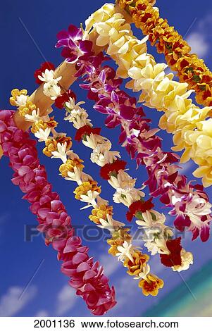 Stock Photograph - Variety Of Tropical Leis Hang From Stick Ocean And Blue Sky Background, Slanted View. Fotosearch