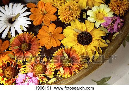 Stock Image - Various Flower Heads In Bowl, Ahilya Fort, Maheshwar, Madhya Pradesh, India. Fotosearch