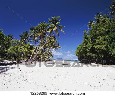 Vavau Beach; Upolu Island, Samoa View Large Photo Image Stock Photography - Vavau Beach; Upolu Island, Samoa. Fotosearch