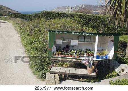 Stock Photo - Vegetable 'shop', Bryher, Isles Of Scilly.. Fotosearch