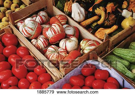 Vegetables At Cladas Da Rainha, Oeste Region View Large Photo Image Stock Photo - Vegetables At Cladas Da Rainha, Oeste Region. Fotosearch