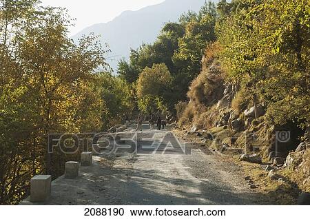 Vegetation Along Highway S1 (Gilgit To Skardu), Northern Areas, Pakistan View Large Photo Image Stock Image - Vegetation Along Highway S1 (Gilgit To Skardu), Northern Areas, Pakistan. Fotosearch