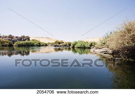 Stock Photograph - Vegetation Growing By The Nile River In The First Cataract Islands Protected Area Saluga And Ghazal, Aswan, Egypt. Fotosearch