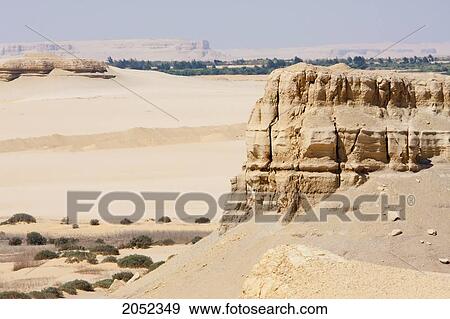 Stock Photo - Vegetation On The Wadi Floor, Wadi El Rayan, El Fayoum, Egypt. Fotosearch
