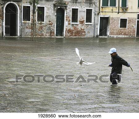 Stock Image - Venetian Boy Chasing A Dove; Venice, Italy. Fotosearch