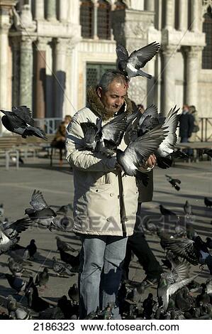 Stock Image - Venice, Italy. Man And Pigeons, Piazza San Marco. Doug Mckinlay/Axiom. Fotosearch