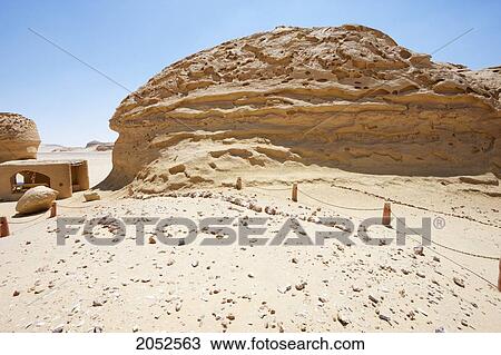 Stock Image - Vertebrae Of A Basilosaurus Isis Whale, Wadi El Rayan, El Fayoum, Egypt. Fotosearch