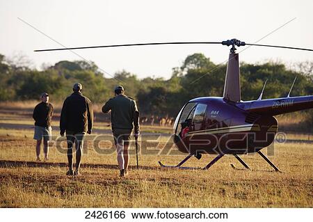 Stock Photograph - Veterinarian and pilot boarding a helicopter after Rhinoceros notching, Phinda Private Game Reserve; South Africa. Fotosearch