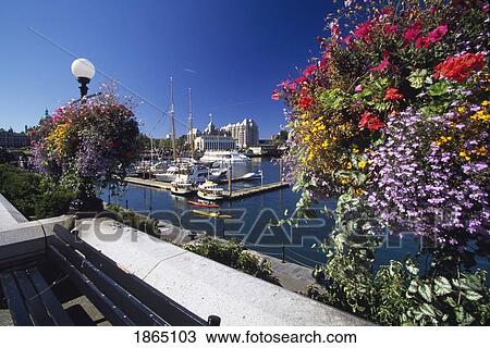 Stock Image - Victoria Harbor; Victoria, Vancouver Island, British Columbia, Canada. Fotosearch