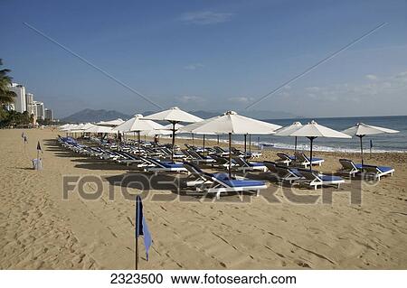 Vietnam, Sunbeds On Beach; Nha Trang View Large Photo Image Stock Image - Vietnam, Sunbeds On Beach; Nha Trang. Fotosearch
