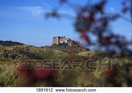 View Across Fields At Bamburgh Castle. View Large Photo Image Stock Image - View Across Fields At Bamburgh Castle.. Fotosearch