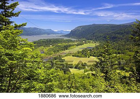 Stock Photograph - View Along Columbia River Old Highway In Columbia River Gorge National Scenic Area; Oregon, United States Of America. Fotosearch
