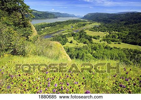 View Along Columbia River Old Highway In Columbia River Gorge National Scenic Area; Oregon, United States Of America View Large Photo Image Stock Photography - View Along Columbia River Old Highway In Columbia River Gorge National Scenic Area; Oregon, United States Of America. Fotosearch