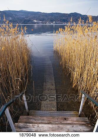 Stock Photo - View Down A Path Through A Lake At The Mayr Clinic Spa.. Fotosearch