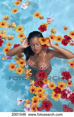 View From Above Beautiful Woman In Pool, Eyes Closed Hibiscus Flowers Floating View Large Photo Image Stock Photograph - View From Above Beautiful Woman In Pool, Eyes Closed Hibiscus Flowers Floating. Fotosearch