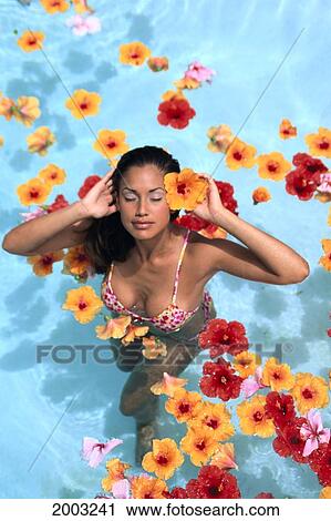 View From Above Woman In Pool With Eyes Closed, Surrounded By Hibiscus Flowers View Large Photo Image Stock Image - View From Above Woman In Pool With Eyes Closed, Surrounded By Hibiscus Flowers. Fotosearch