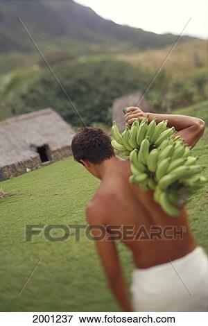 Stock Photo - View From Behind Man With Bunch Bananas Over Shoulder, Grass Hut Across Green Lawn D1455. Fotosearch