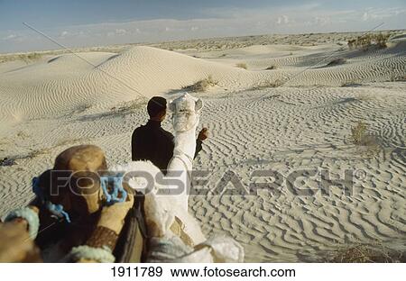 View From Camel During A Camel Trek In Sahara Desert From Douz (Town On The Edge Of The Southern Tunisia), Tunisia. View Large Photo Image Stock Photo - View From Camel During A Camel Trek In Sahara Desert From Douz (Town On The Edge Of The Southern Tunisia), Tunisia.. Fotosearch