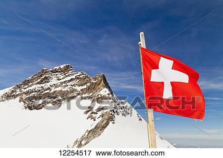 View from Jungfrau and Swiss flag; Bernese Oberland, Switzerland View Large Photo Image Stock Photo - View from Jungfrau and Swiss flag; Bernese Oberland, Switzerland. Fotosearch