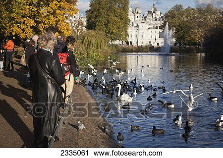 View From St James's Park Across Pond To Horse Guards Parade In Autumn; London, England, Uk View Large Photo Image Stock Image - View From St James's Park Across Pond To Horse Guards Parade In Autumn; London, England, Uk. Fotosearch