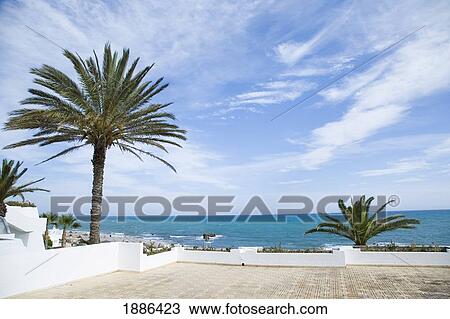 View From Sun Terrace Over Palm Trees By Coast View Large Photo Image Stock Image - View From Sun Terrace Over Palm Trees By Coast. Fotosearch