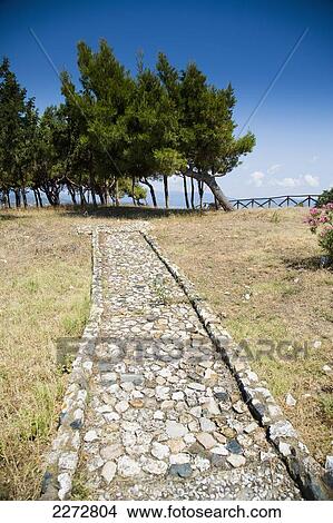 Picture - View from the hill top site of the akanthos ruins with mozaic path and pine trees; ierissos halkidiki greece. Fotosearch