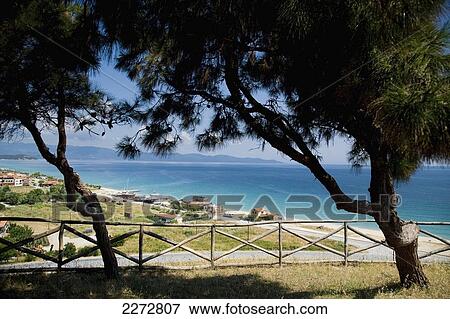 View from the hill top site of the akanthos ruins with a view of the mediterranean sea through the pine trees; ierissos halkidiki greece View Large Photo Image Stock Photo - View from the hill top site of the akanthos ruins with a view of the mediterranean sea through the pine trees; ierissos halkidiki greece. Fotosearch
