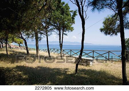 Stock Photography - View from the hill top site of the akanthos ruins with a view of the mediterranean sea through the pine trees; ierissos halkidiki greece. Fotosearch