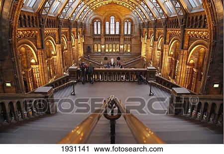 Stock Image - View From The Top Of The Natural History Museum; Natural History Museum, London, England, Uk, Europe &#13; &#10. Fotosearch