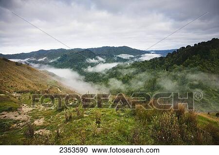 Stock Image - View From The Tops Of The Hills Over The Morning Fog At Blue Duck Lodge In The Whanganui National Park; Whakahoro, New Zealand. Fotosearch